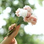 حسینہ بدنام ہوئی ڈارلنگ تیرے لیے