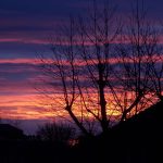 جی لیتے اگر محبت نہ کرتے