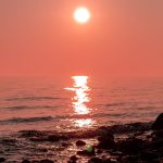 محبت کا ہونا بھی ضروری