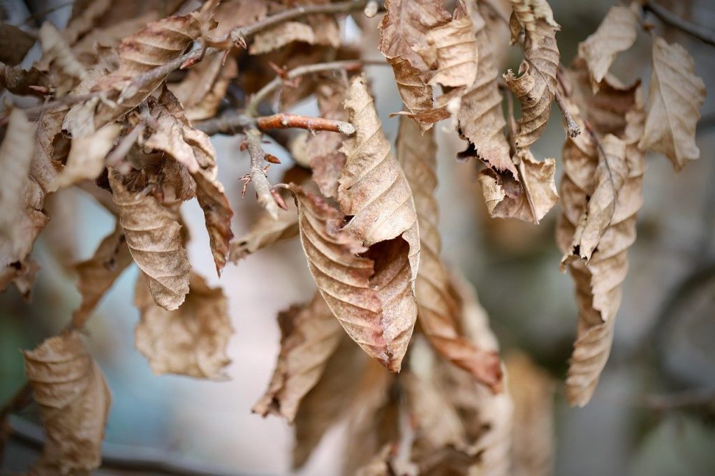 میں مستقبل تو نہیں