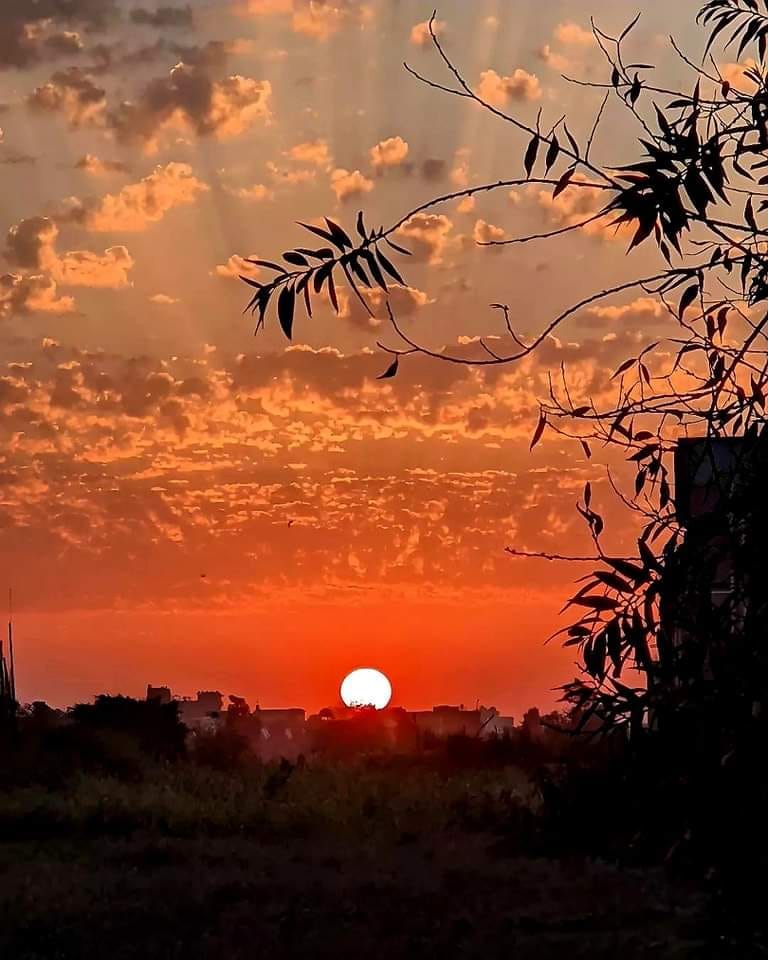 اندیشہ بدن تھا سو وہم نکلا