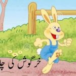 خرگوش کی چالاکی