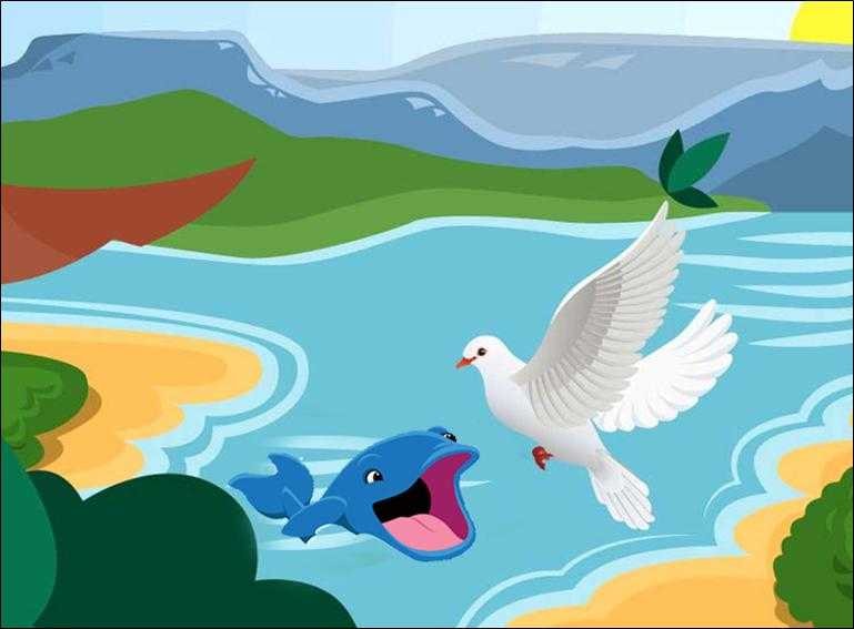 سفید کبوتری