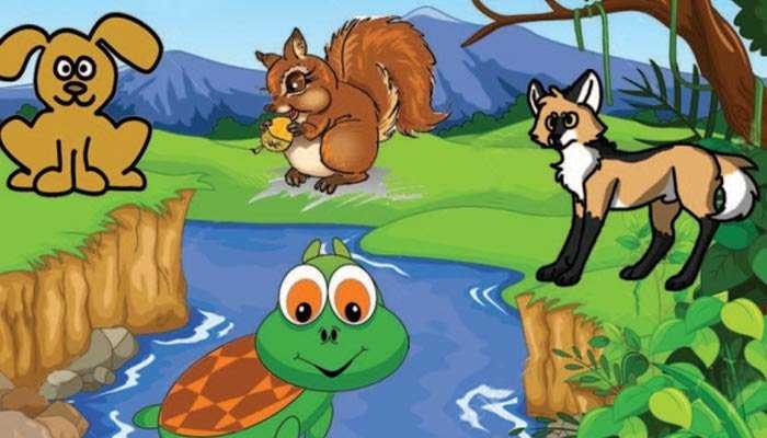 کچھوے کی ہوشیاری