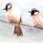 چڑیا کا بدلہ