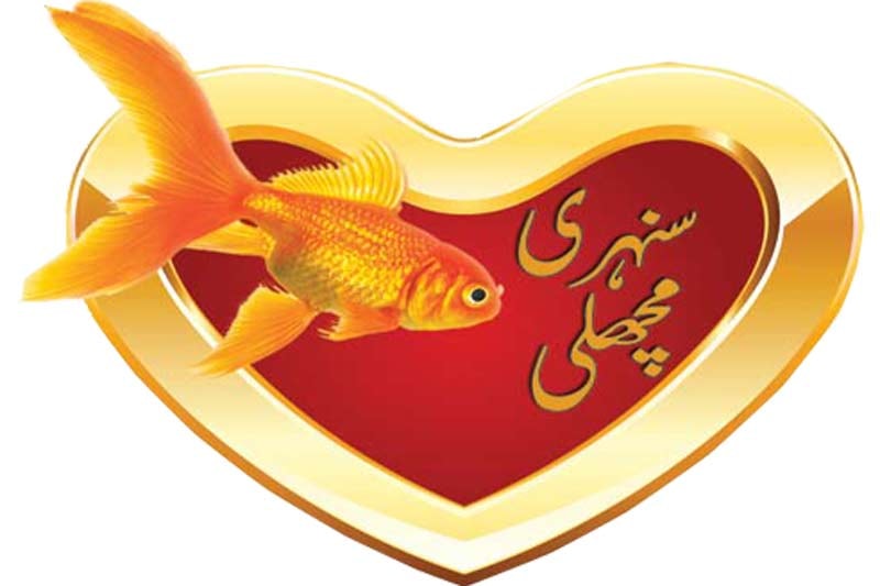 سنہری مچھلی