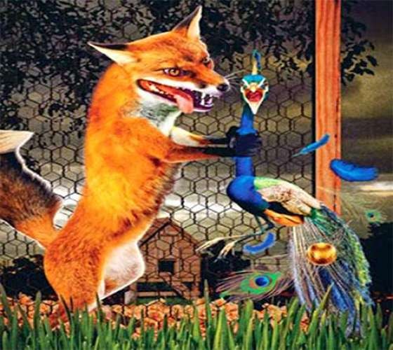 مور اور گیدڑ