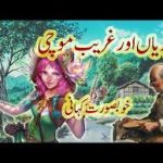 پریاں اور غریب موچی